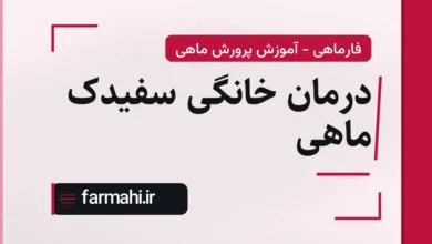 درمان خانگی سفیدک ماهی