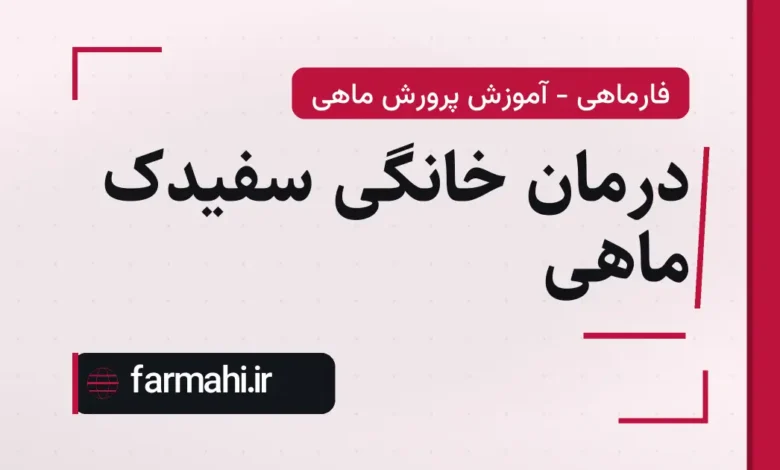 درمان خانگی سفیدک ماهی