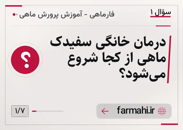 درمان خانگی سفیدک ماهی از کجا شروع می‌شود؟