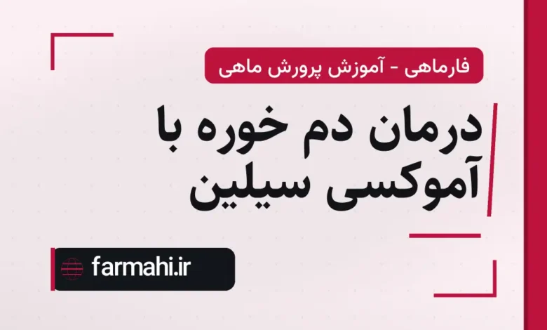 درمان دم خوره با آموکسی سیلین