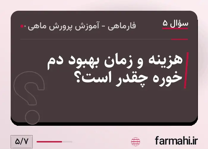 هزینه و زمان بهبود دم خوره چقدر است؟