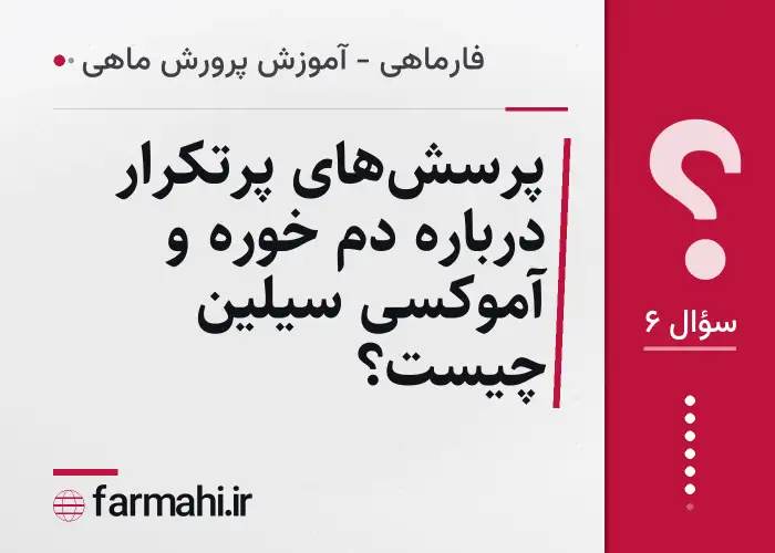 پرسش‌های پرتکرار درباره دم خوره و آموکسی سیلین چیست؟