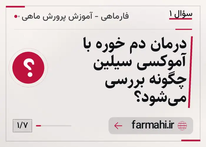 درمان دم خوره با آموکسی سیلین چگونه بررسی می‌شود؟