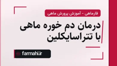 درمان دم خوره ماهی با تتراسایکلین
