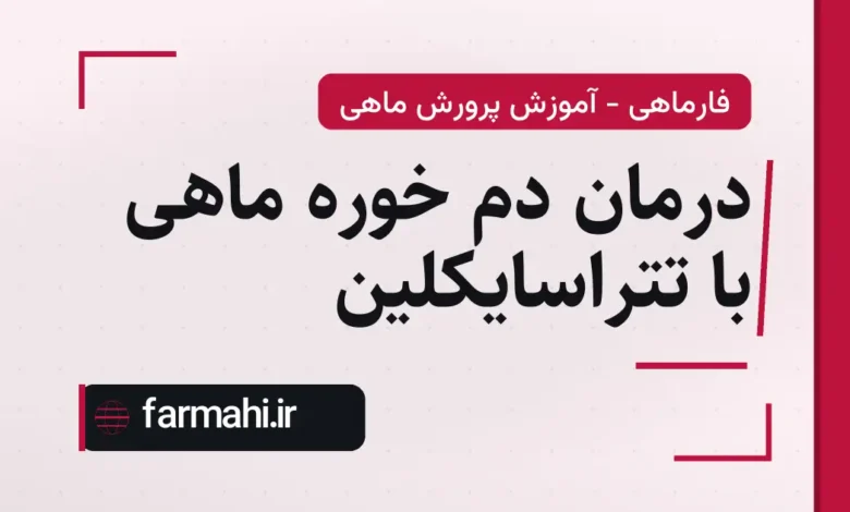 درمان دم خوره ماهی با تتراسایکلین