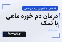 درمان دم خوره ماهی با نمک