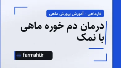 درمان دم خوره ماهی با نمک