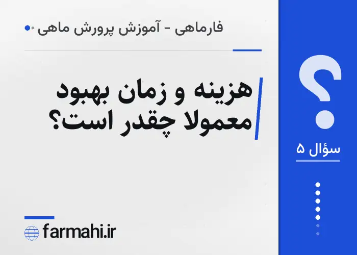 هزینه و زمان بهبود معمولاً چقدر است؟