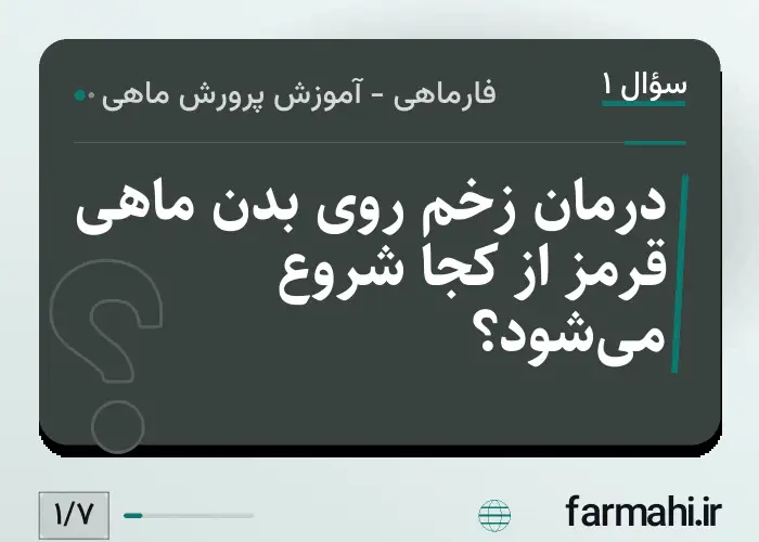 درمان زخم روی بدن ماهی قرمز از کجا شروع می‌شود؟