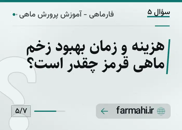 هزینه و زمان بهبود زخم ماهی قرمز چقدر است؟