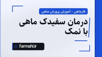 درمان سفیدک ماهی با نمک