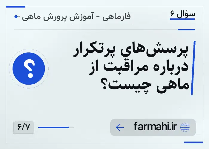 پرسش‌های پرتکرار درباره مراقبت از ماهی چیست؟