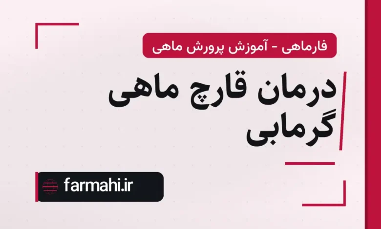 درمان قارچ ماهی گرمابی