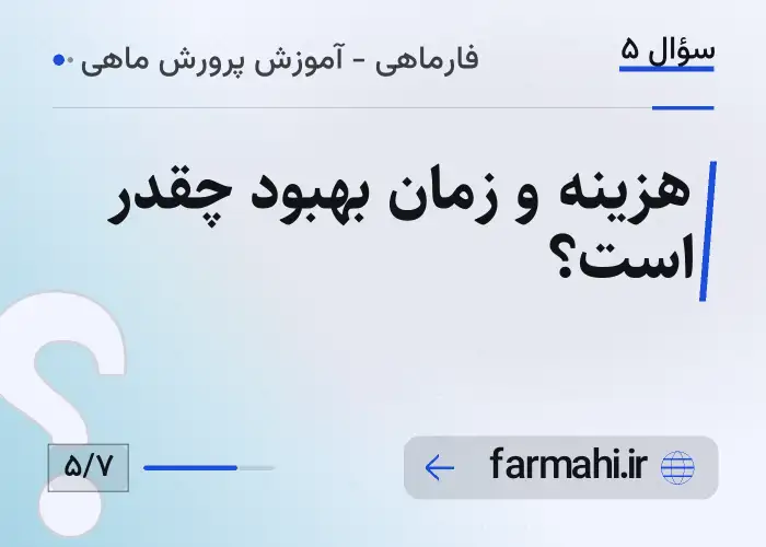 هزینه و زمان بهبود چقدر است؟