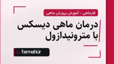 درمان ماهی دیسکس با مترونیدازول