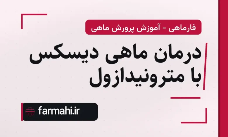 درمان ماهی دیسکس با مترونیدازول