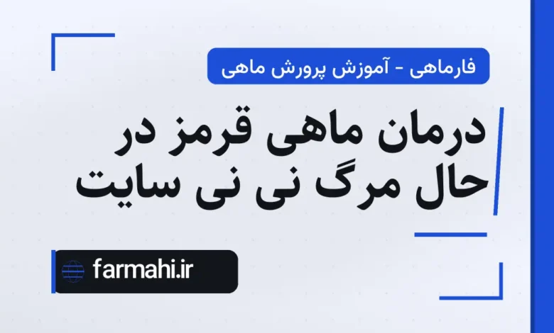 درمان ماهی قرمز در حال مرگ نی نی سایت