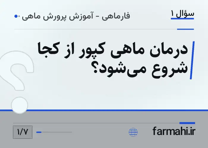 درمان ماهی کپور از کجا شروع می‌شود؟