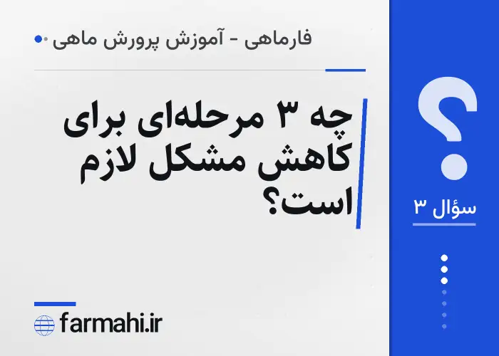 چه ۳ مرحله‌ای برای کاهش مشکل لازم است؟