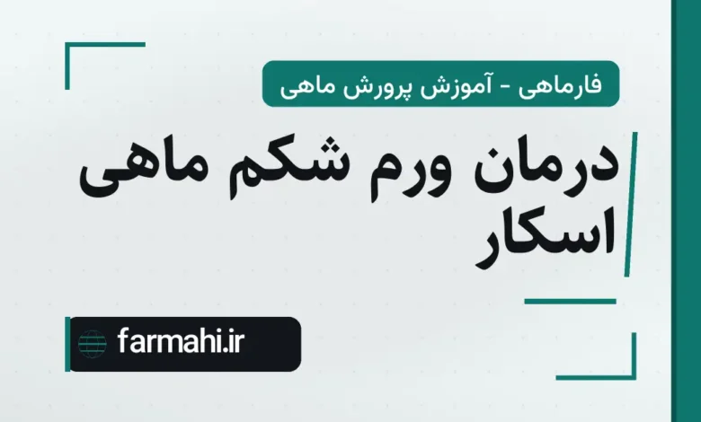درمان ورم شکم ماهی اسکار