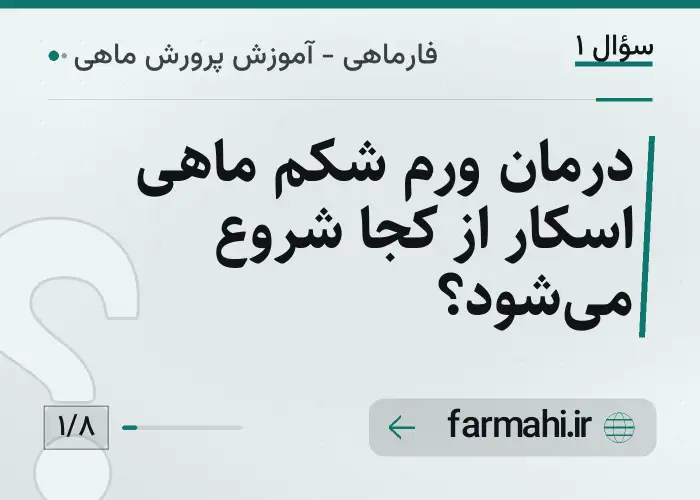 درمان ورم شکم ماهی اسکار از کجا شروع می‌شود؟
