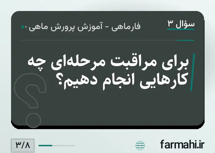 برای مراقبت مرحله‌ای چه کارهایی انجام دهیم؟