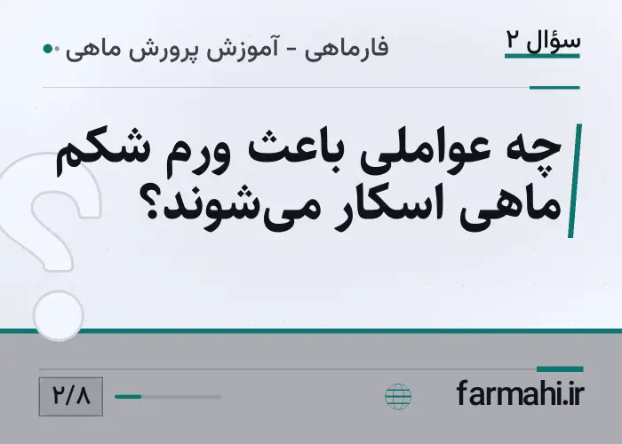 چه عواملی باعث ورم شکم ماهی اسکار می‌شوند؟