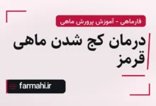 درمان کج شدن ماهی قرمز