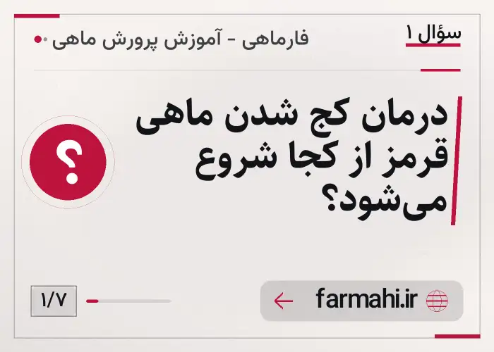 درمان کج شدن ماهی قرمز از کجا شروع می‌شود؟