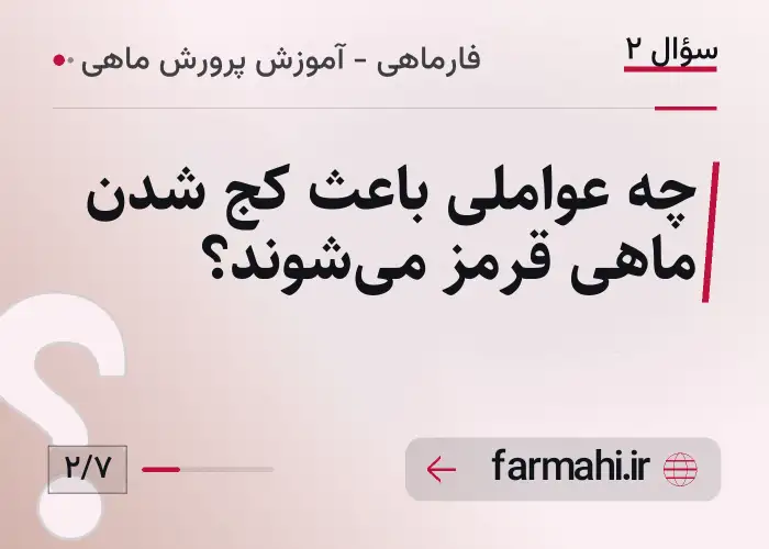 چه عواملی باعث کج شدن ماهی قرمز می‌شوند؟