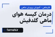 درمان کیسه هوای ماهی گلدفیش