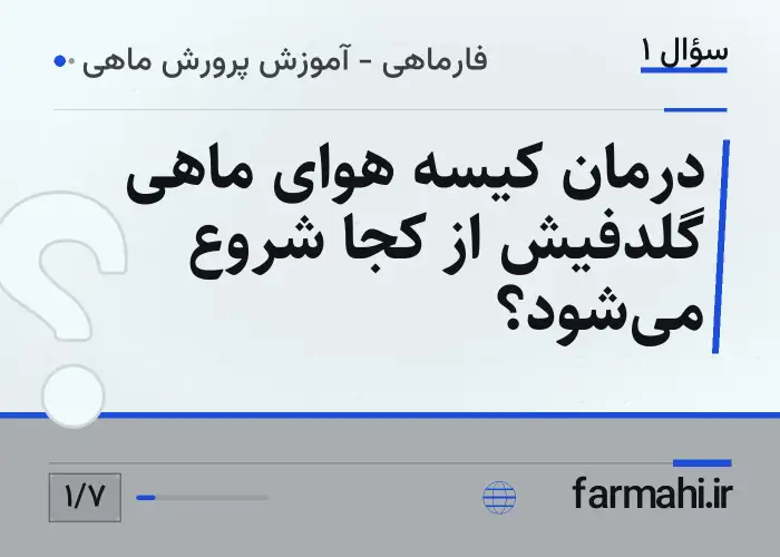 درمان کیسه هوای ماهی گلدفیش از کجا شروع می‌شود؟