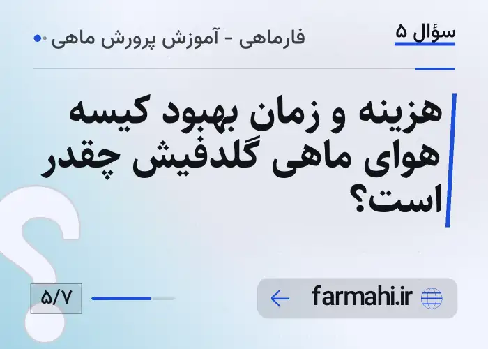 هزینه و زمان بهبود کیسه هوای ماهی گلدفیش چقدر است؟