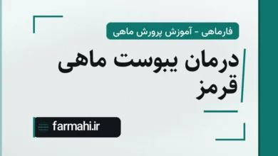 درمان یبوست ماهی قرمز