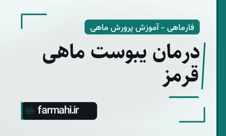 درمان یبوست ماهی قرمز