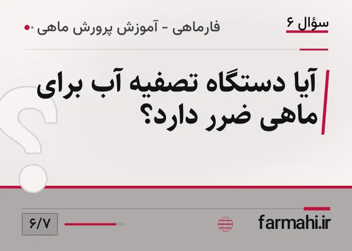 آیا دستگاه تصفیه آب برای ماهی ضرر دارد؟