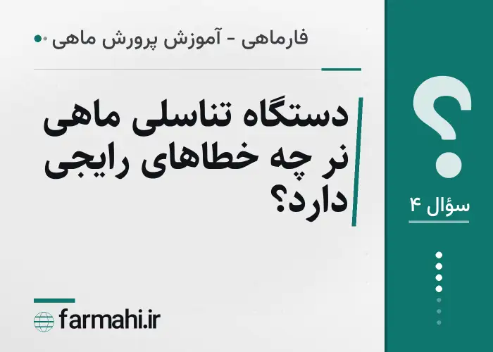دستگاه تناسلی ماهی نر چه خطاهای رایجی دارد؟