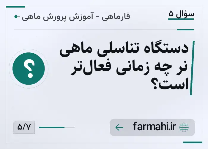 دستگاه تناسلی ماهی نر چه زمانی فعال‌تر است؟