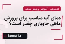 دمای آب مناسب برای پرورش ماهی خاویاری چقدر است؟