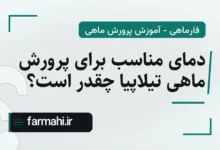 دمای مناسب برای پرورش ماهی تیلاپیا چقدر است؟