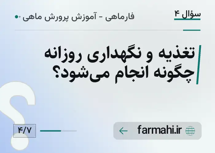 تغذیه و نگهداری روزانه چگونه انجام می‌شود؟