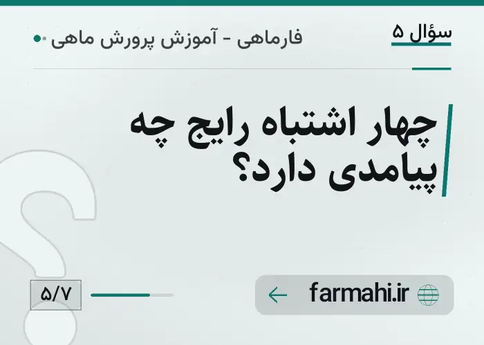 چهار اشتباه رایج چه پیامدی دارد؟