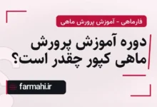 دوره آموزش پرورش ماهی کپور چقدر است؟