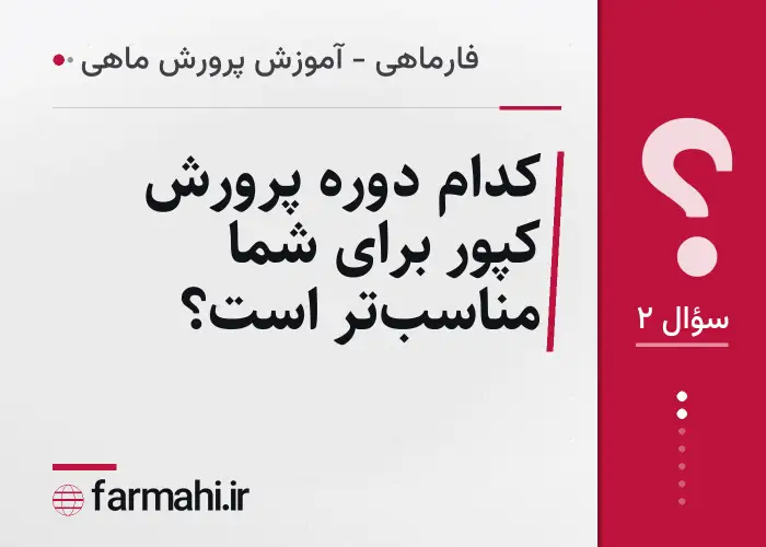 کدام دوره پرورش کپور برای شما مناسب‌تر است؟