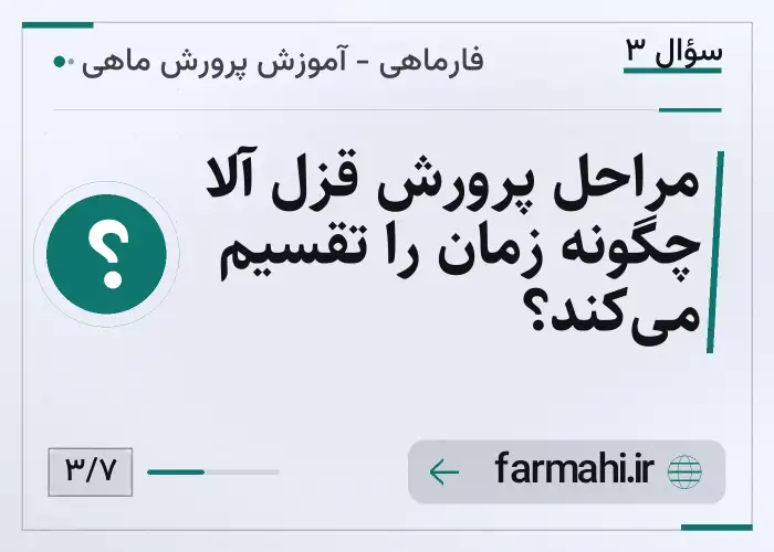 مراحل پرورش قزل آلا چگونه زمان را تقسیم می‌کند؟