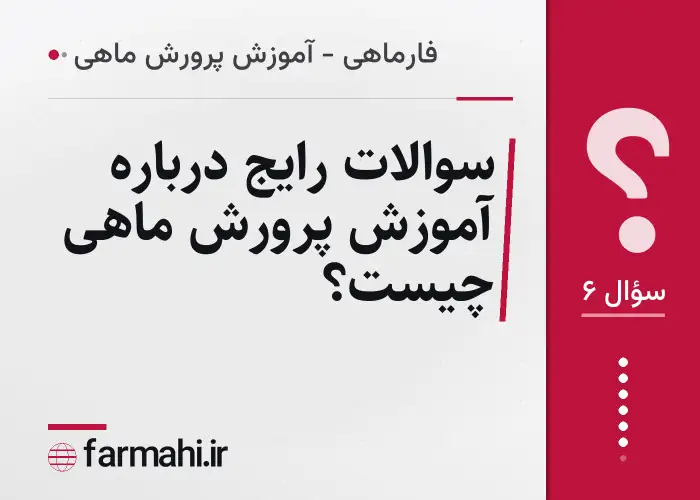 سوالات رایج درباره آموزش پرورش ماهی چیست؟