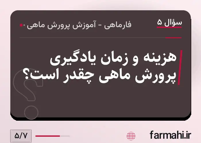 هزینه و زمان یادگیری پرورش ماهی چقدر است؟