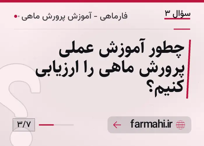 چطور آموزش عملی پرورش ماهی را ارزیابی کنیم؟