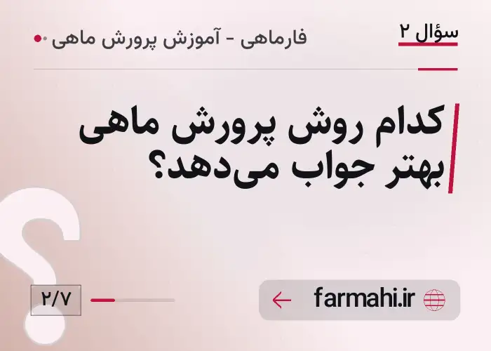 کدام روش پرورش ماهی بهتر جواب می‌دهد؟