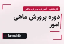 دوره پرورش ماهی امور